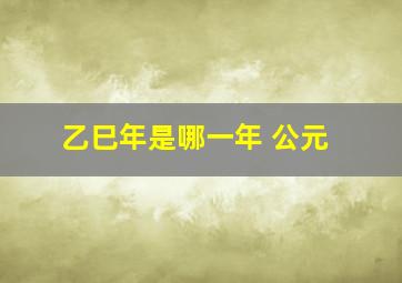 乙巳年是哪一年 公元